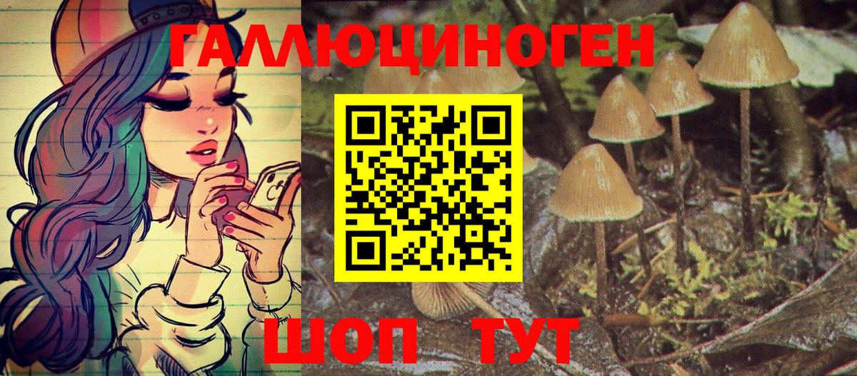 Белореченск  Псилоцибиновые грибы MAGIC MUSHROOMS  Вход с VPN  Псилоцибиновые грибы мицелий 