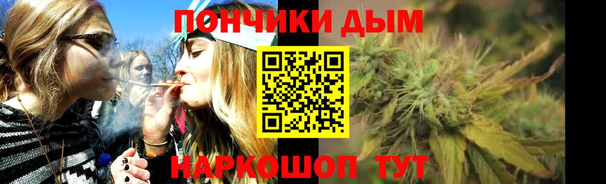 Конопля гибрид Белореченск